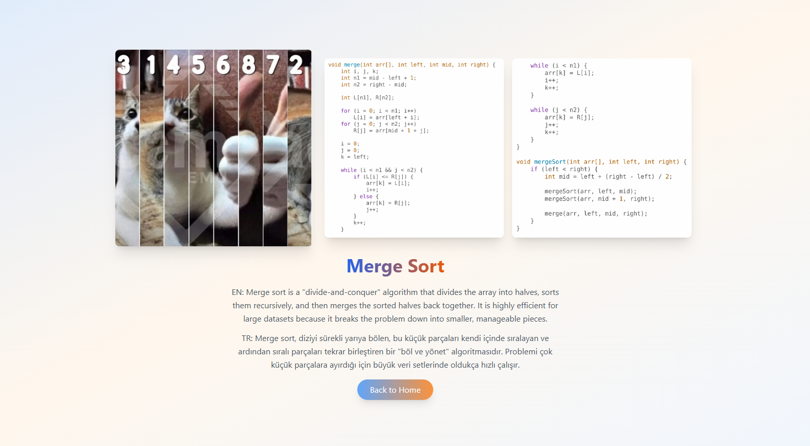 Sorting Website Screenshot